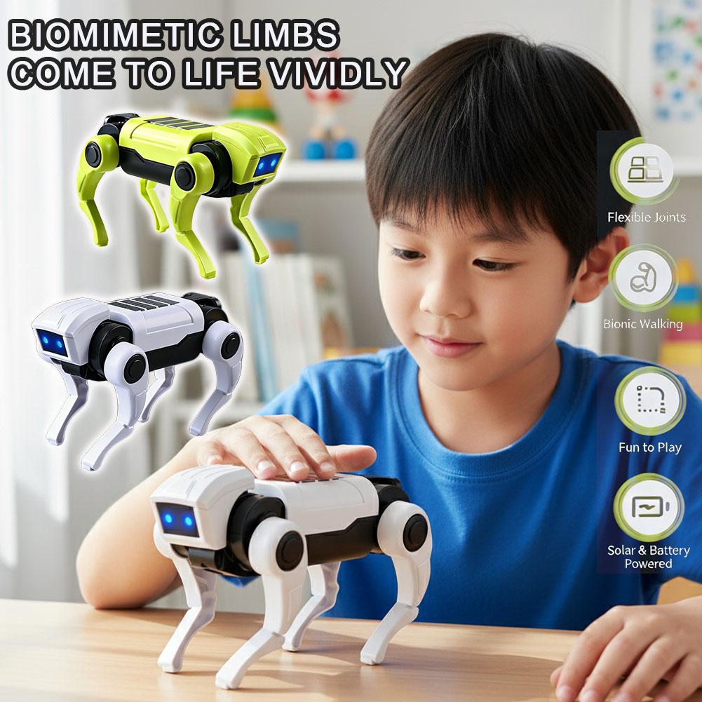 Diy Kit Elektronik - Kit Robot Cane Telecomandato Fai-da-Te, Modello