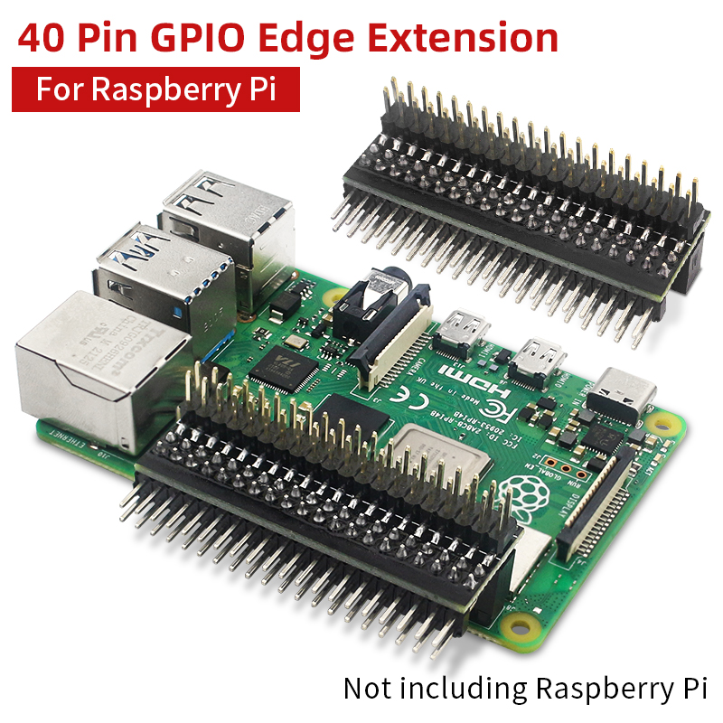 Raspberry Pi Zero - Raspberry Pi 40 Pin GPIO Prigioniera