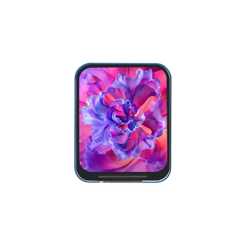 Modulo LCD IPS da 1,69 pollici - Raspberry Pi Zero recensione e prezzo
